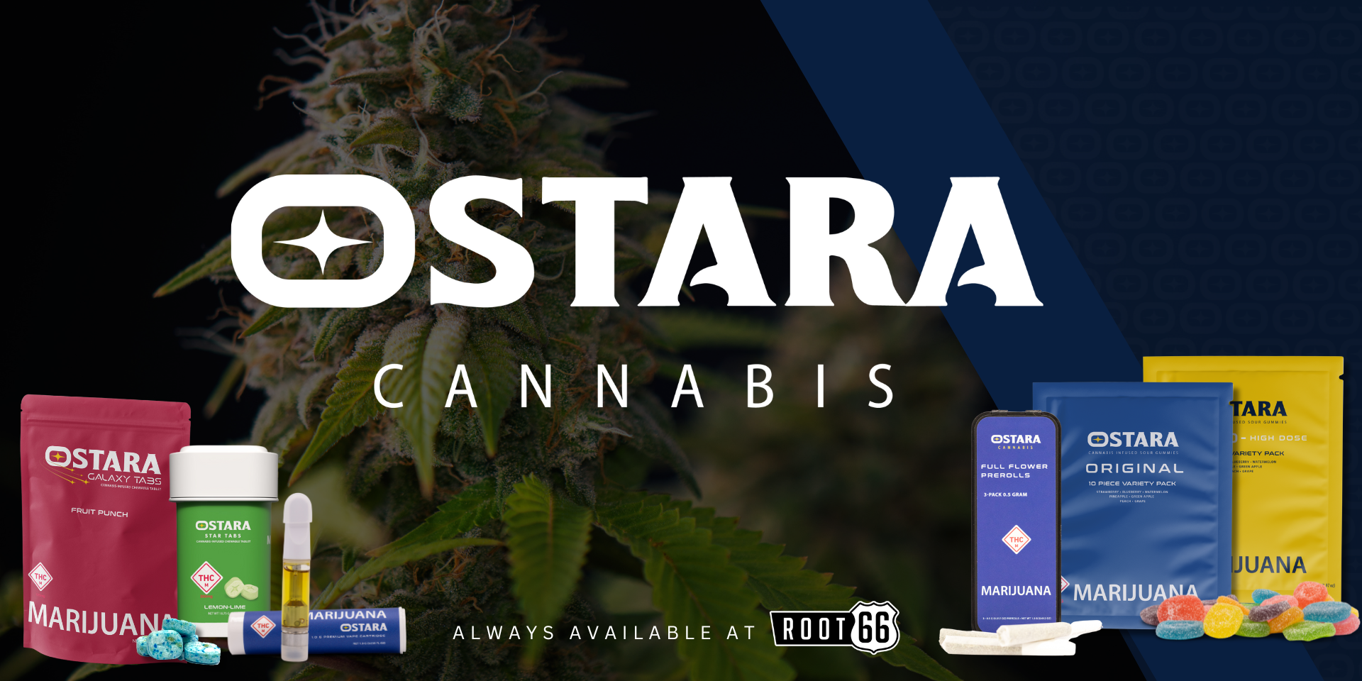 Discover OSTARA Cannabis at Root 66